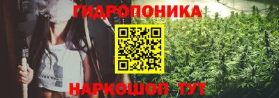 mdpv Боровичи