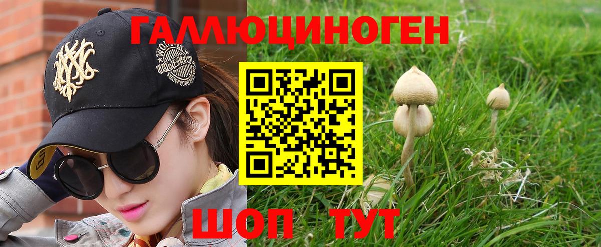 дарнет шоп  Галлюциногенные грибы Magic Shrooms  Вход с VPN  Ступино 