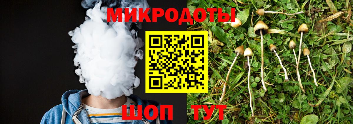 Галлюциногенные грибы Psilocybine cubensis Ступино